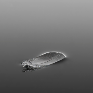 Untitled design (1)